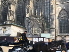 -斯蒂芬主教座堂(Stephansdom)