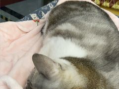 -谜盒子奇幻密室(南屏店)
