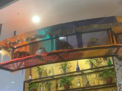 -琥珀宫南亚餐厅(欢乐城店)