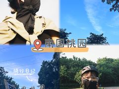 -南国桃园旅游度假区