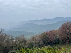-广州市石门国家森林公园