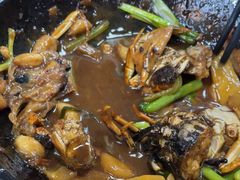 -八仔大富楼·河鲜(西江店)