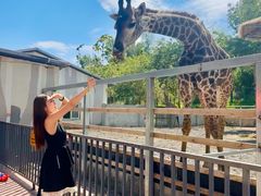 -水上乐园·欢乐世界