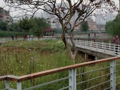 -沐仙湖湿地公园