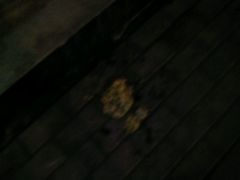 android_upload_pic-星月烧烤(安国街店)