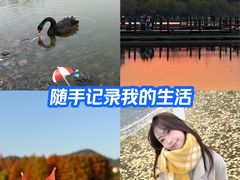 -浙江农林大学(东湖校区)