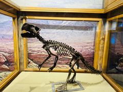 -国家自然博物馆