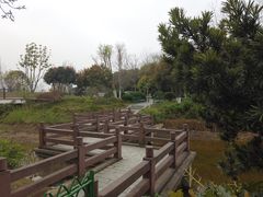 -金银湖国家城市湿地公园