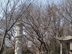 -句容茅山景区