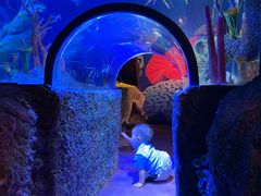 -沈阳海洋探索中心