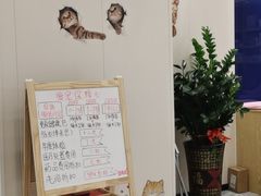 -芭比堂动物医院·24小时·眼科中心(深圳中心)