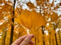 -汉景帝阳陵博物院