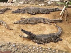 -辛玛王国游乐园