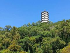 -深圳国际园林花卉博览园