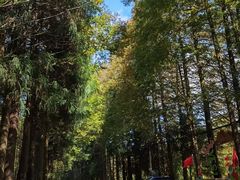 -山王坪喀斯特国家生态公园