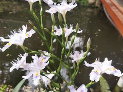 -大妙火锅·非物质文化遗产(东湖公园店)