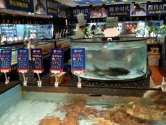 水产区-尚海豆捞(乐虹坊店)