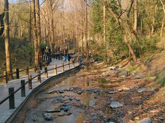 -国家植物园南园