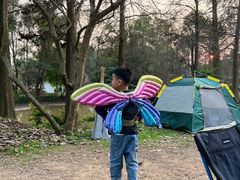 -南宁良凤江国家森林公园