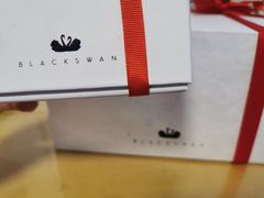 -BLACKSWAN黑天鹅(环球店)