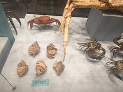-天津自然博物馆