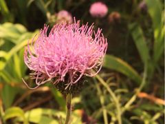 神农草堂中医药博物馆-广州神农草堂中医药博物馆