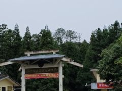 -旗山国家森林公园