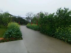 -天适樱花悠乐园