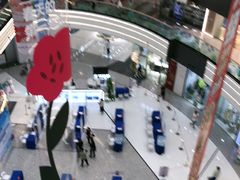 -万达广场(槐房店)