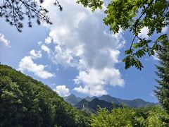 -牛背梁国家森林公园