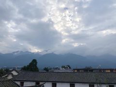 -喵屿·大理花园猫咖