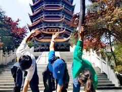 -铁山坪森林公园