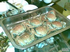 -胶东海鲜大排档(北太平庄店)