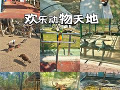 -水上乐园·欢乐世界