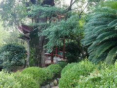 android_upload_pic-华雅花园大酒店