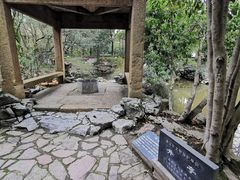 -汇龙潭