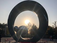 -大兴滨河森林公园