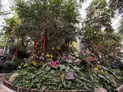 -郑州植物园