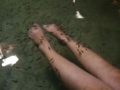 -咸宁万豪温泉谷度假区