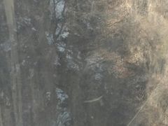 -狼牙山风景区