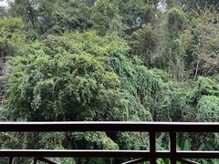 -韶关经律论国际酒店温泉