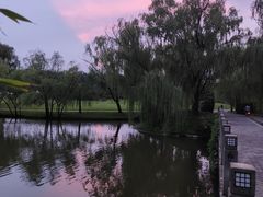 -银树楼(紫玉山庄东区店)