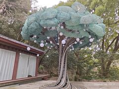 -杭州黄龙洞