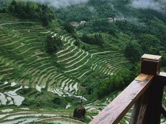 -紫鹊界梯田景区