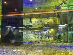 -趣陶陶艺手工坊(新世界百货重庆店)