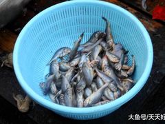 -青岛沙子口国家中心渔港