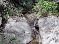 -大岭沟猕猴桃谷风景区