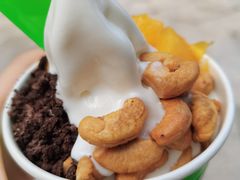 -Salud撒露欧洲冻酸奶(蓝色港湾店)