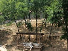 -石家庄市动物园