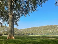 -河南省黄河迎宾馆